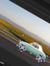 05_THUMB 05_THUMB
